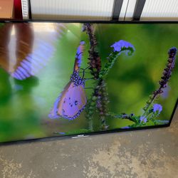 TV 50”