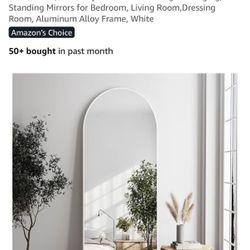 Standing Full Body Mirror 