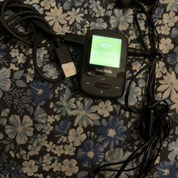SanDisk Sport Clip MP3 Player