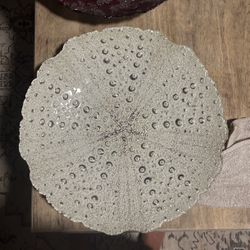 Serving Dish