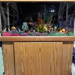 Giant Fish Tank 