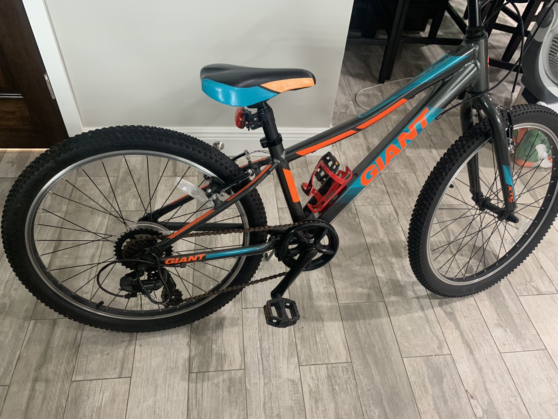 Giant XtC 24” boys bikes