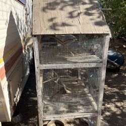 Bird Cage