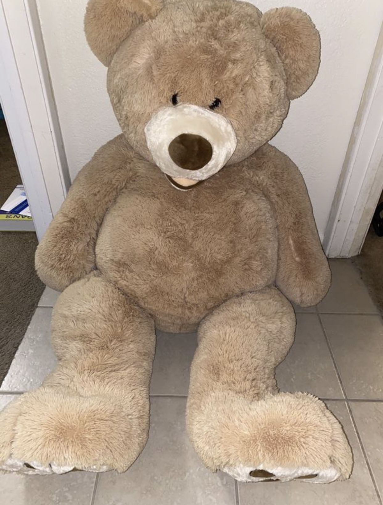 Giant Costco teddy bear 4ft tall