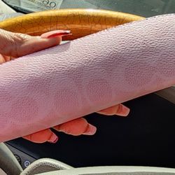 Coach 2026 Powder Pink Pencil Case Signature Canvas & Leather