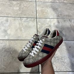 Gucci Aces 