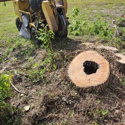 Stump Grinding 