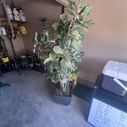 Large Fake Plant