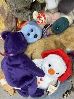 Largest assortment of beanie babies