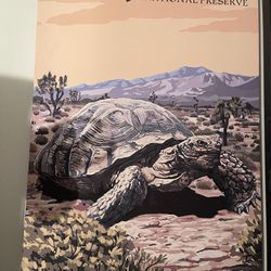 Pair Of National Reserve Prints.  Pinnacle Balanced Rock And Mojave            Preserve Selling As A Pair 