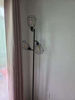 Industrial 3-Light Wire Cage Floor Lamp