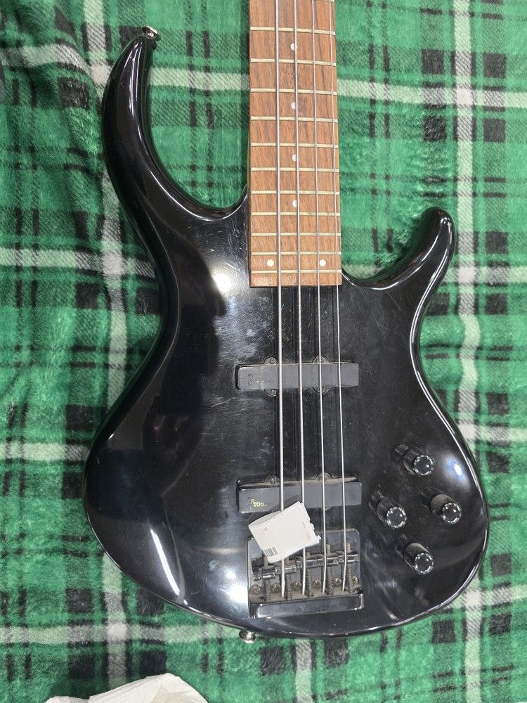 Electric Bass Guitar
