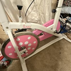 Sunny Cycling Bike 