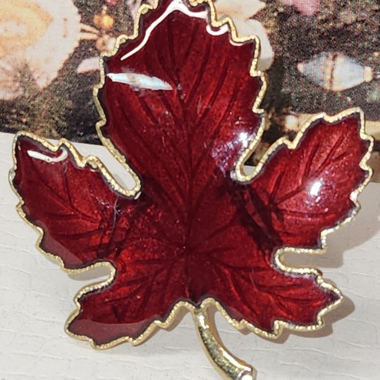 #2347, RARE MAPLE LEAF BROOCH, GOLD TONE. 2"IN