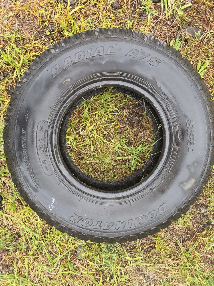 Dominator 31x10.50r15 Tire