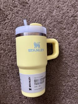 Stanley 20 oz Stainless Steel H2.0 FlowState Quencher Tumbler  Pomelo