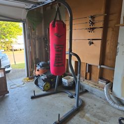 Punching Bag/Stand Combo