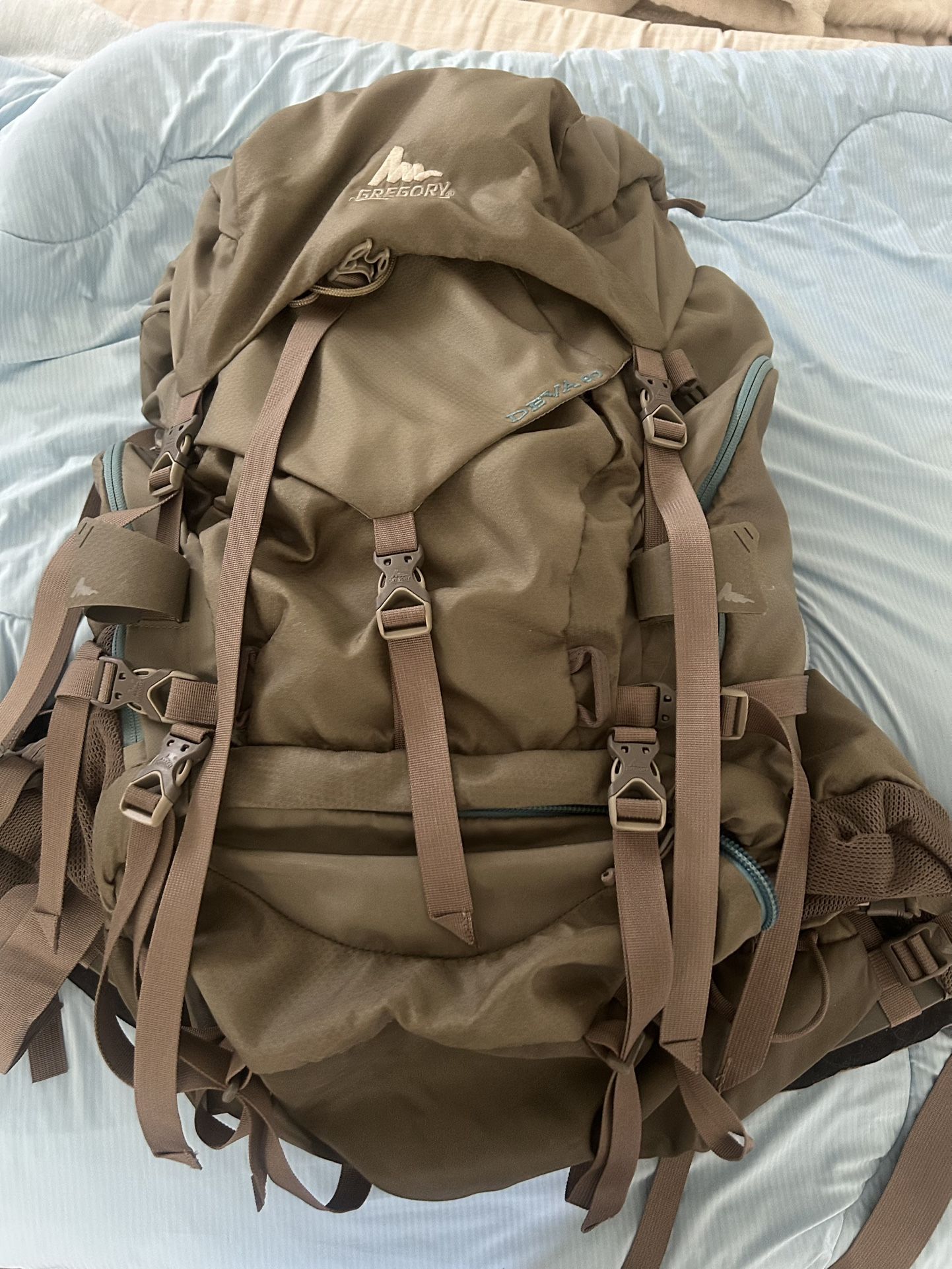 Gregory Backpack
