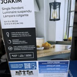 Single Pendant Light