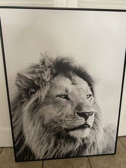 Wall art  framed canvas 