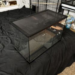 Reptile Tank