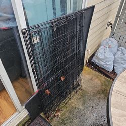 Dog Cage And Tray