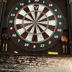 Dart Board And Case