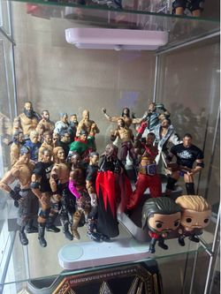 Wwe Action figure lot