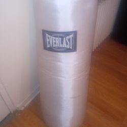 Everlast Punch Bag