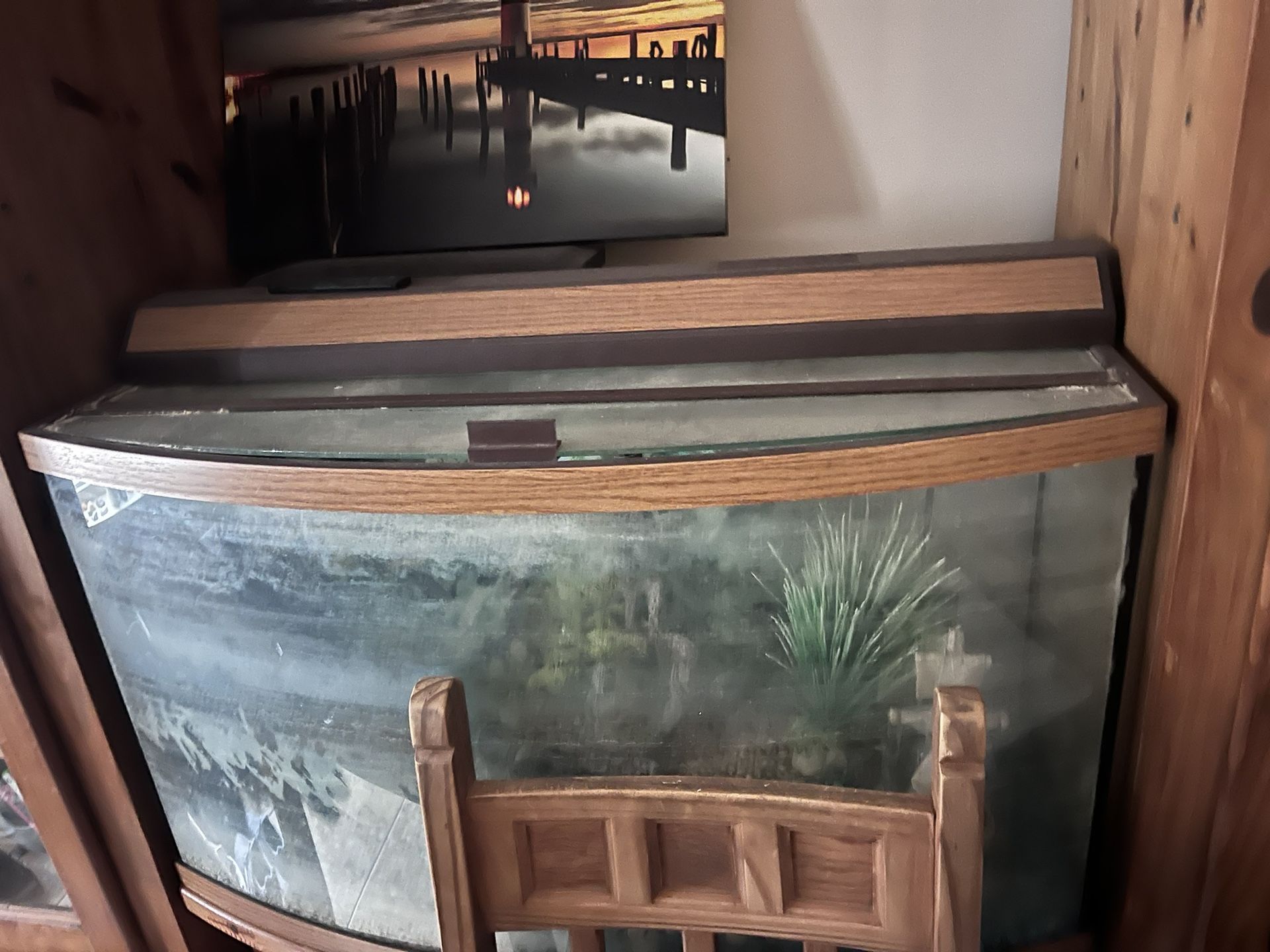 55 Gallon Fish Tank