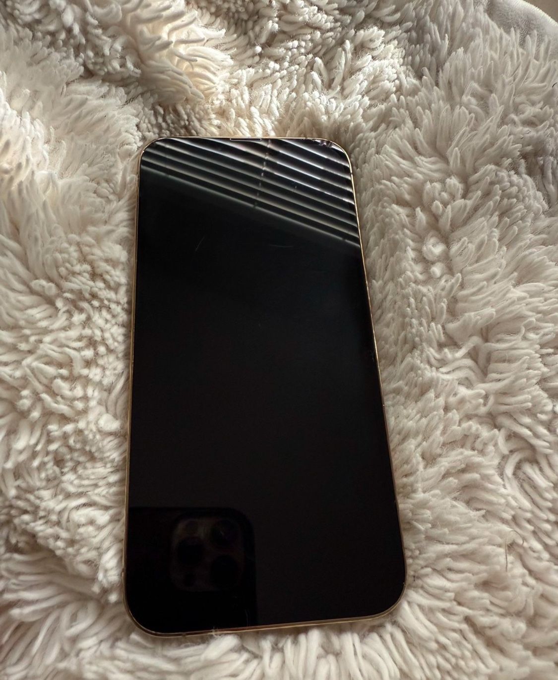 iPhone 13 Pro Max With TikTok App