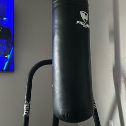 Heavy Bag And Stand Included