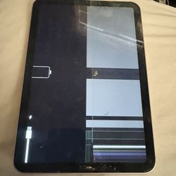 iPad Min 6th Generation 256gb WiFi+cellular Clean Imei LCD IS BAD SELLING AS IS FOR PARTS OR REPAIR $100 Cash Firm iPad Only No Box Or Accessories 