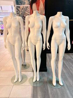 Maniquies