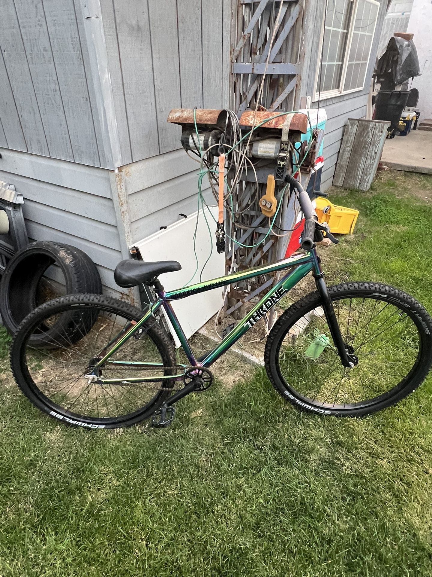 29” Oil slick throne bike