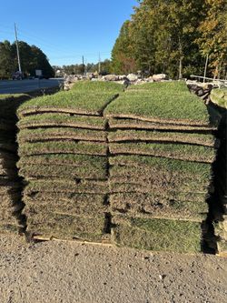 Pallet of grass (ask for prices)
