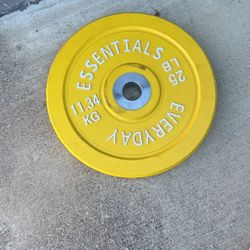 25 Lbs Bumper Plate