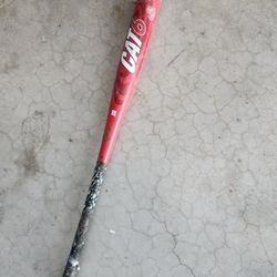 Cat 6 Baseball Bat