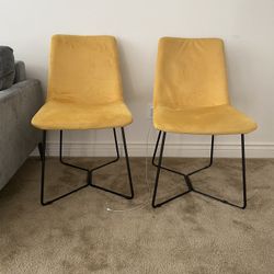 Modern Yellow Dining Chairs