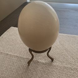 Ostrich Egg With Brass Stand