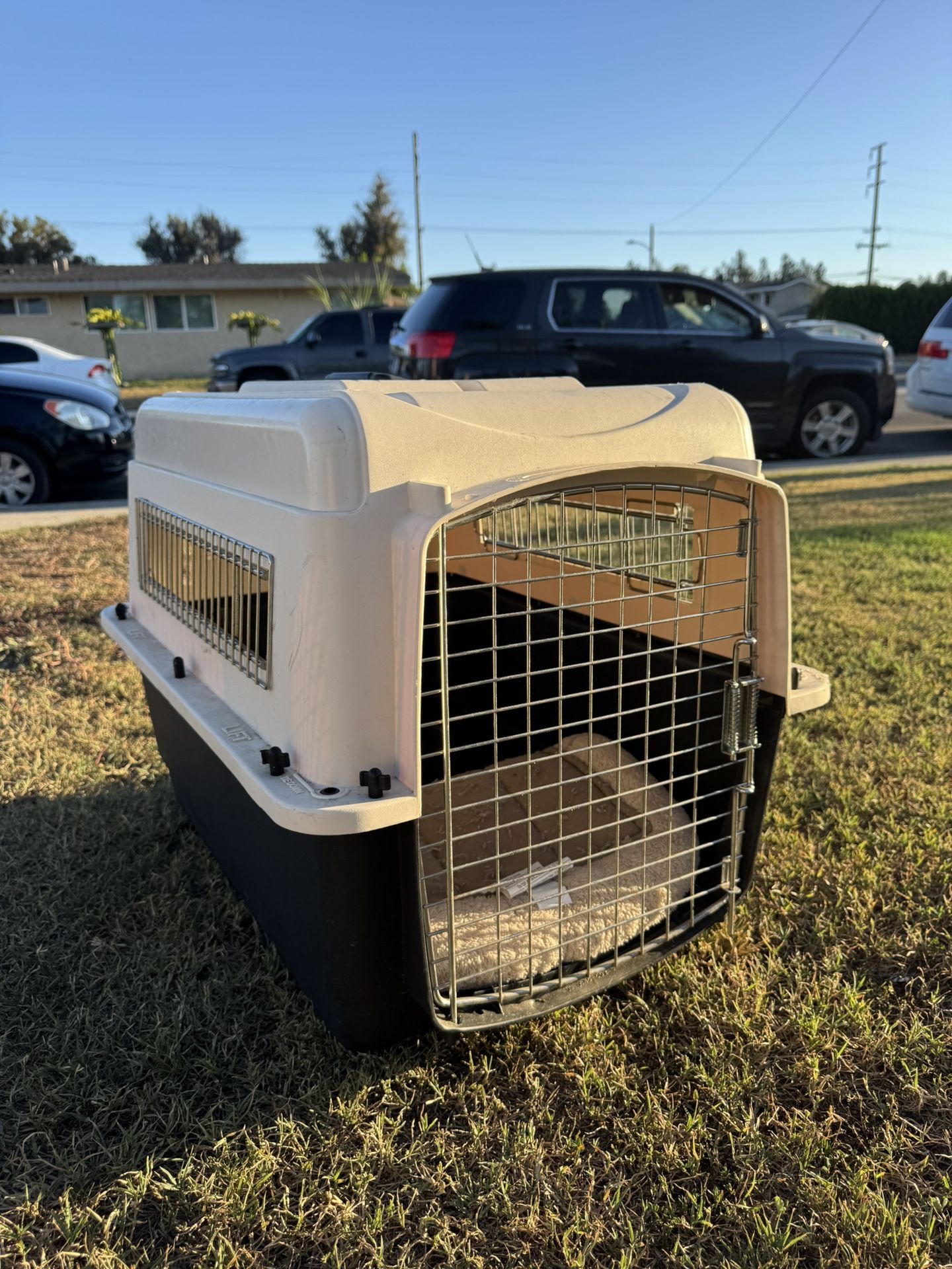 Petco Dog Kennel