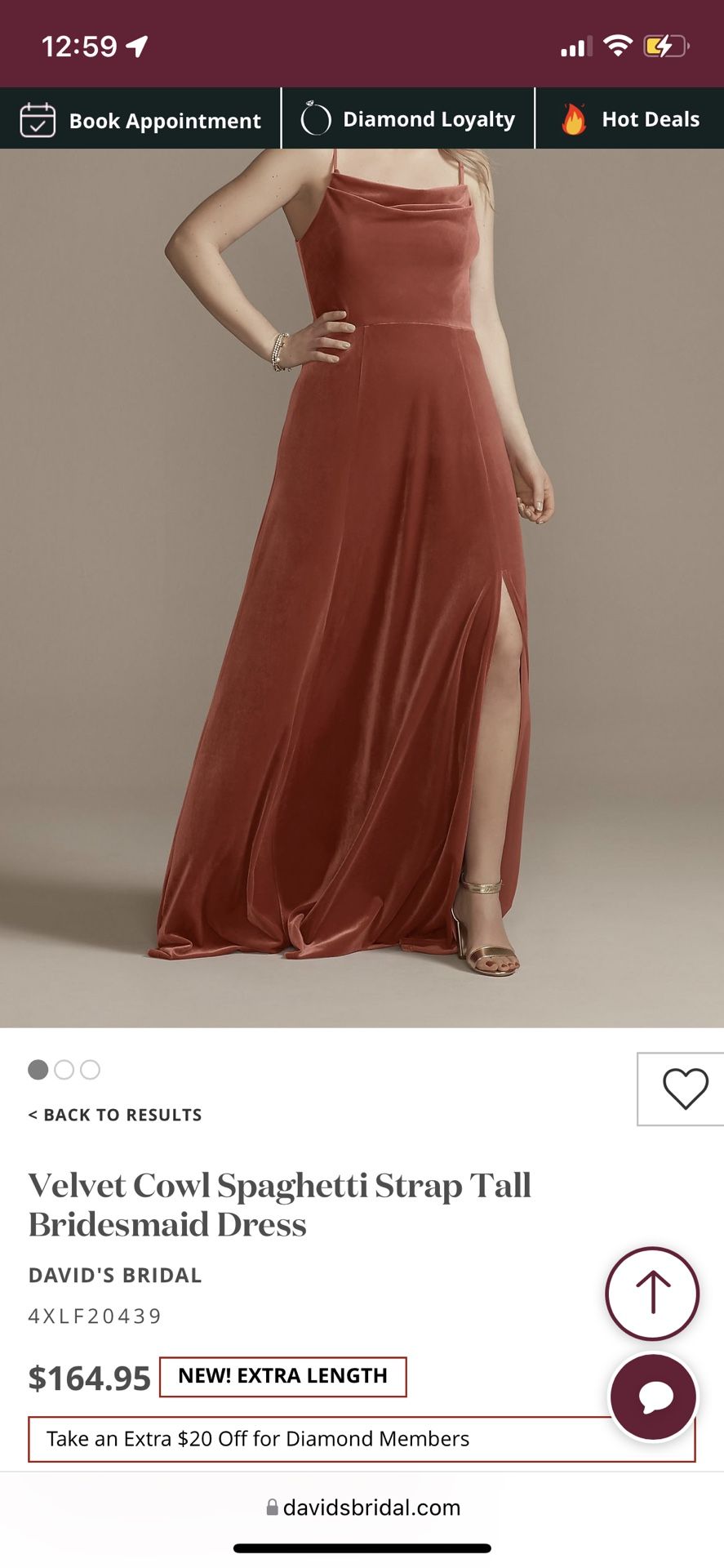 Cinnamon Bridesmaid David’s Bridal Dress