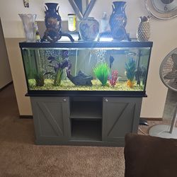 Fish Tank