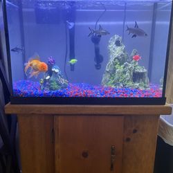 Fish Tank And Stand No Fish