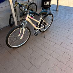 Nishiki Girls Bike