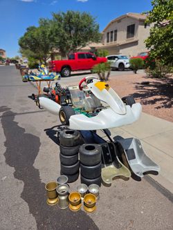 Adult size Tony kart lo206 race kart/go kart/tag kart
