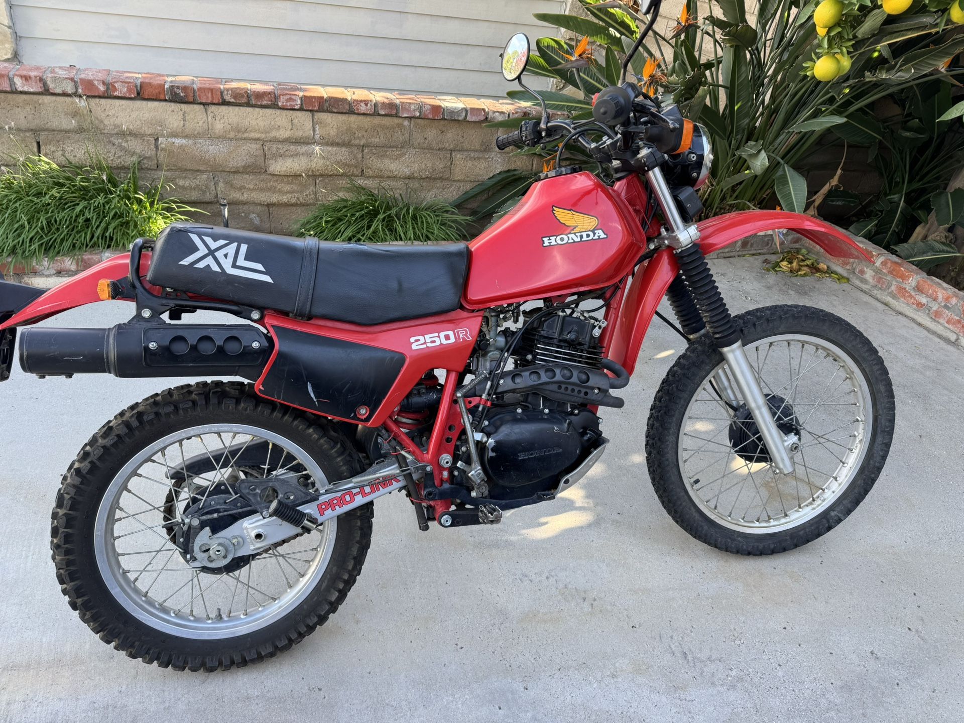 1982 Honda XL 250R