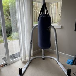 Youth Punching Bag And Stand