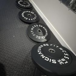 Brand New 340 Lb Set Of Olympic Bumper Weight Plates For Your Home Gym