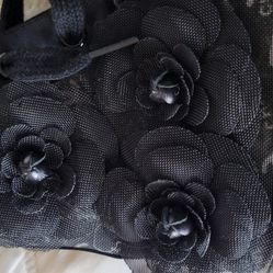 Tennis/ Converse Shoes